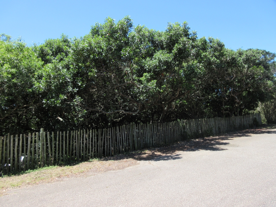 0 Bedroom Property for Sale in Kleinemonde Eastern Cape